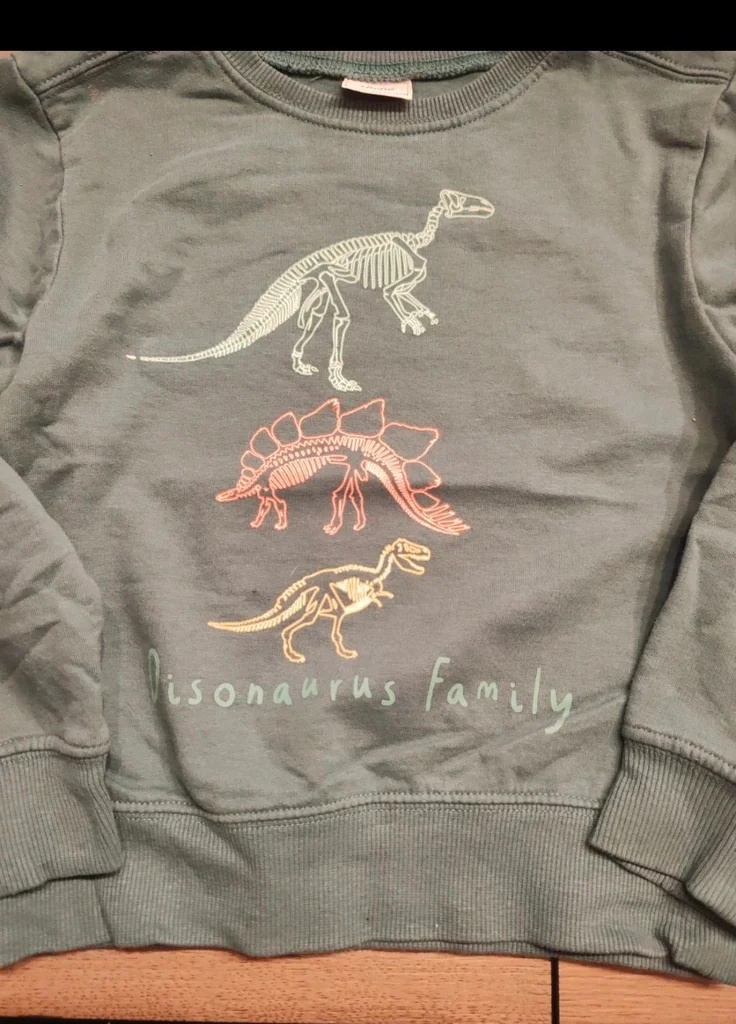 Suéter dinossauro 5 anos – photo 2